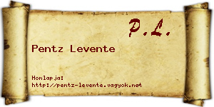 Pentz Levente névjegykártya